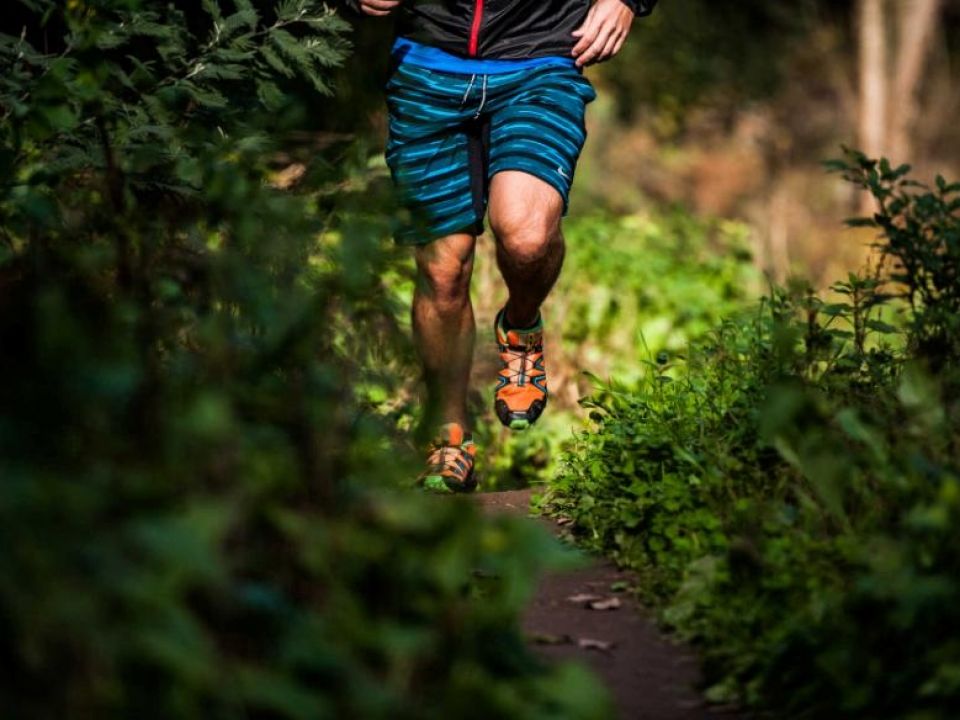 Júlio Lobo Pimentel_Global Imagens2