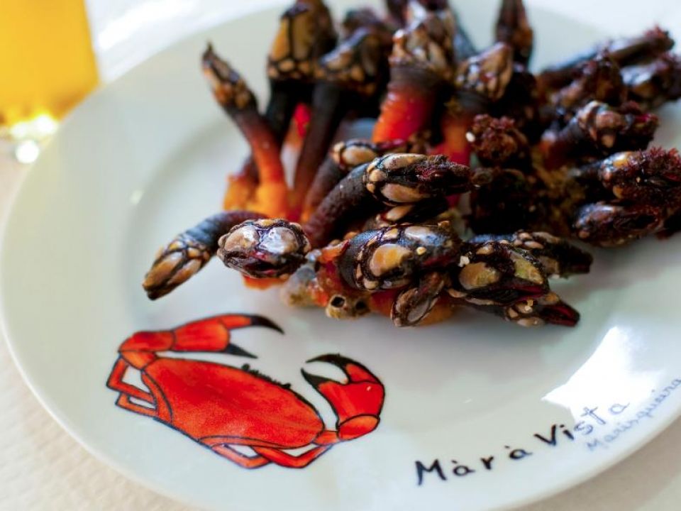 Mar À Vista, Mafra (Paulo Spranger – Global Imagens)