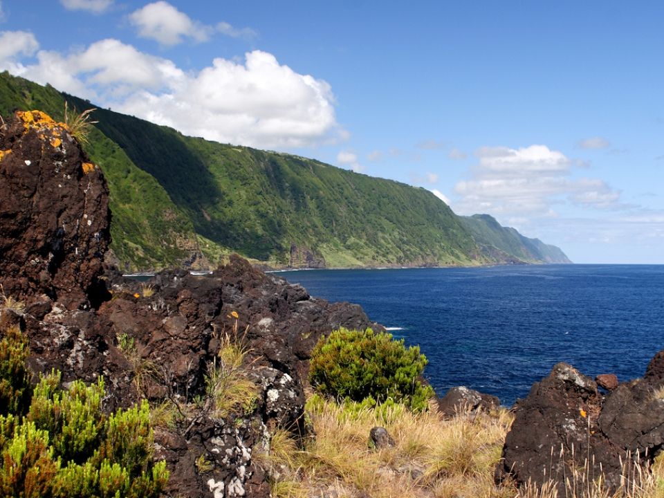 shutterstock_39057571