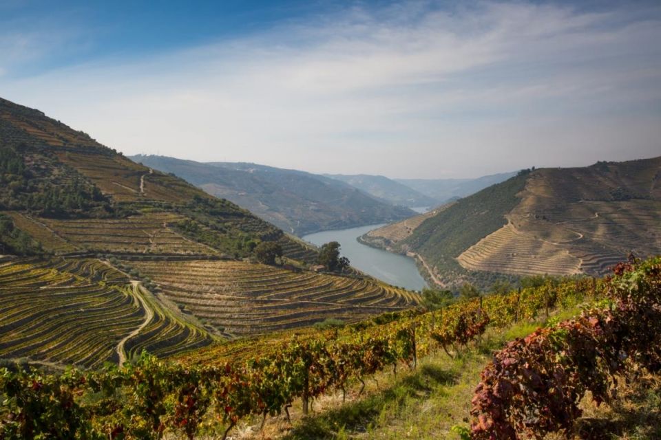 douro 1