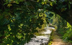 trilho do rio Febros