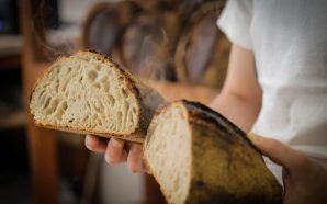 Padaria Gleba, Evasões