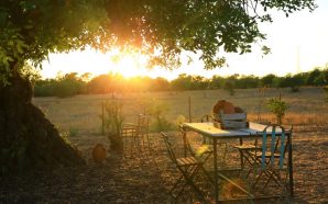 Pensão Agrícola - Escolhas Evasões para 2016