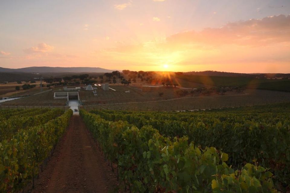 herdade-do-freixo-fernando-guerra