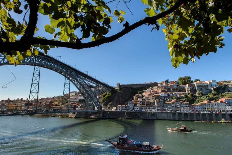 22241075_fotoxgii002681_1024x681