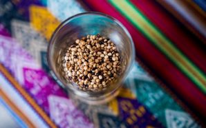 Restaurantes com pratos de quinoa em Lisboa e no Porto