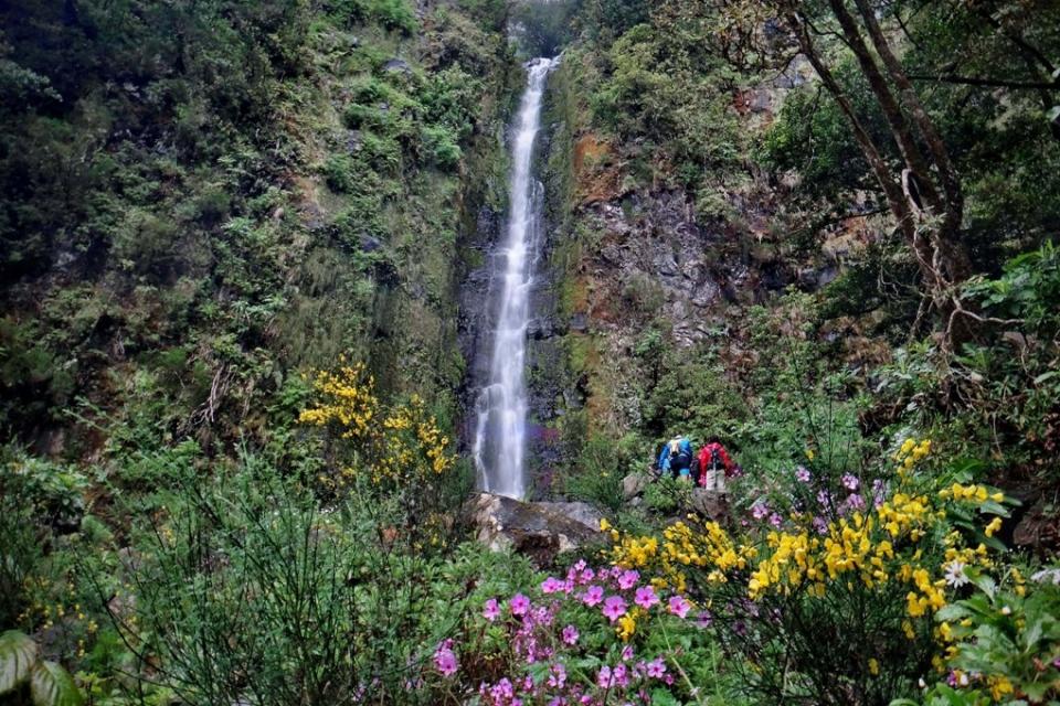 23554077_gi11012016paulospranger4057