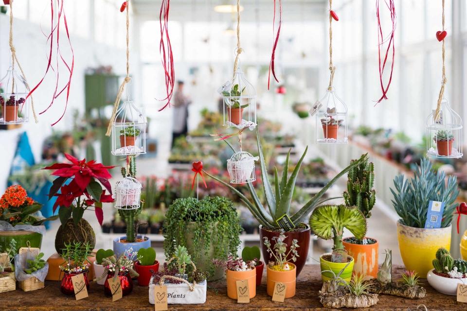 Roteiro em Santo Tirso