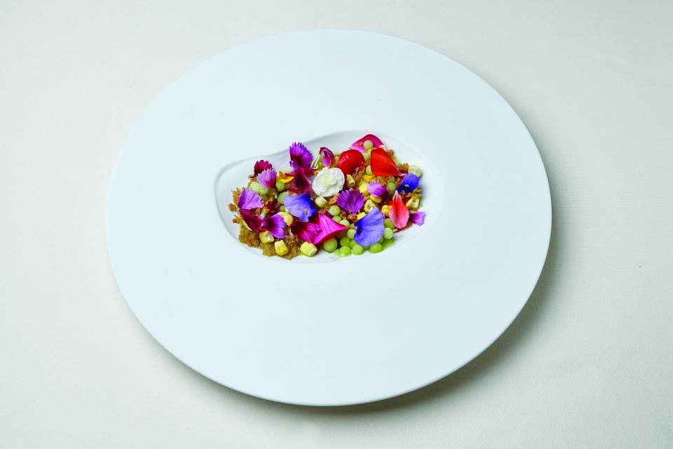 beco_cevichedegamba_creditobrunocalado