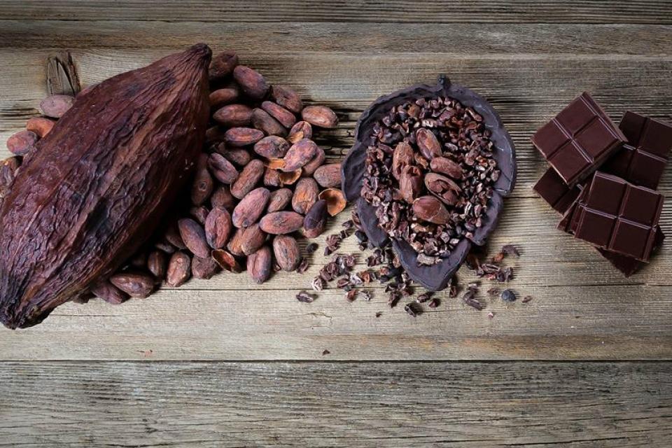 bean-to-bar-chocolates