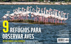 capa Evasões 31 março