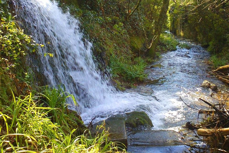 d4cf91bc-6896-4146-8aaa-40c04af633c4