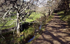 Trail By Buff, circuito de running em Sintra e Cascais
