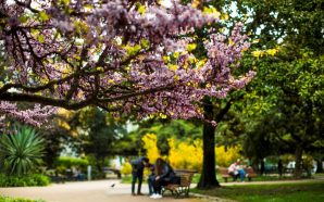 Lisboa: Jardins de bairro para ir em família