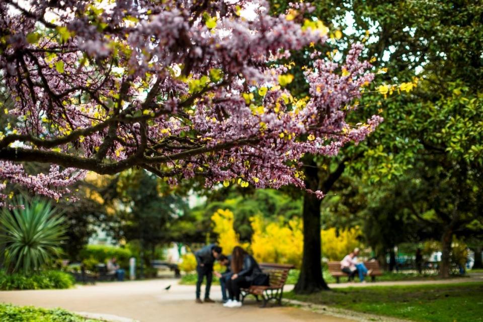 principe-real-capa-2