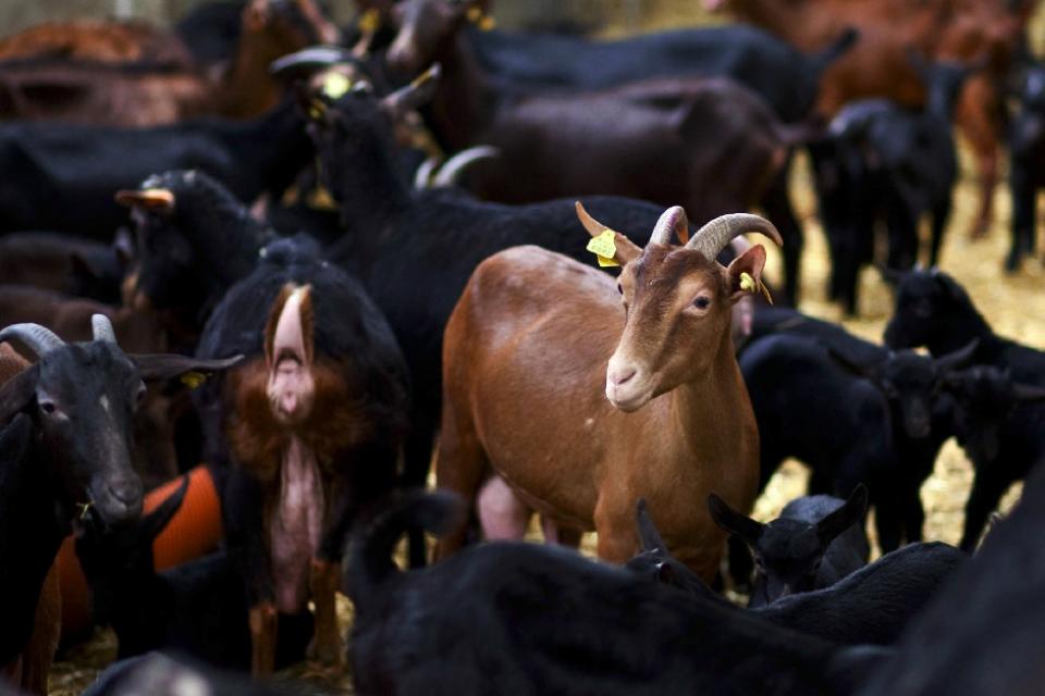 20791630_BINARY_GI02032015ARTURMACHADO000003