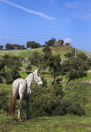 Caminhadas na serra algarvia