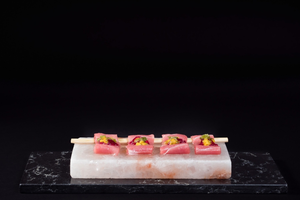 1.6 – himalayan salt rock