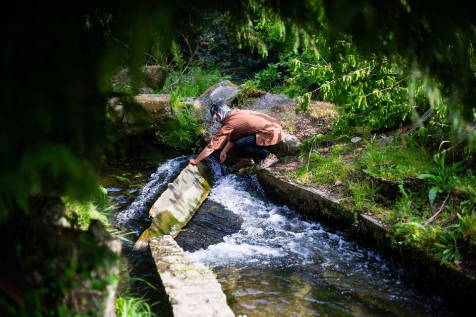 27926249_WEB_39992551_GI11052017RF00000045_WEB