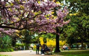 10 restaurantes jardins e parques Lisboa Dia Europeu dos Parques Naturais