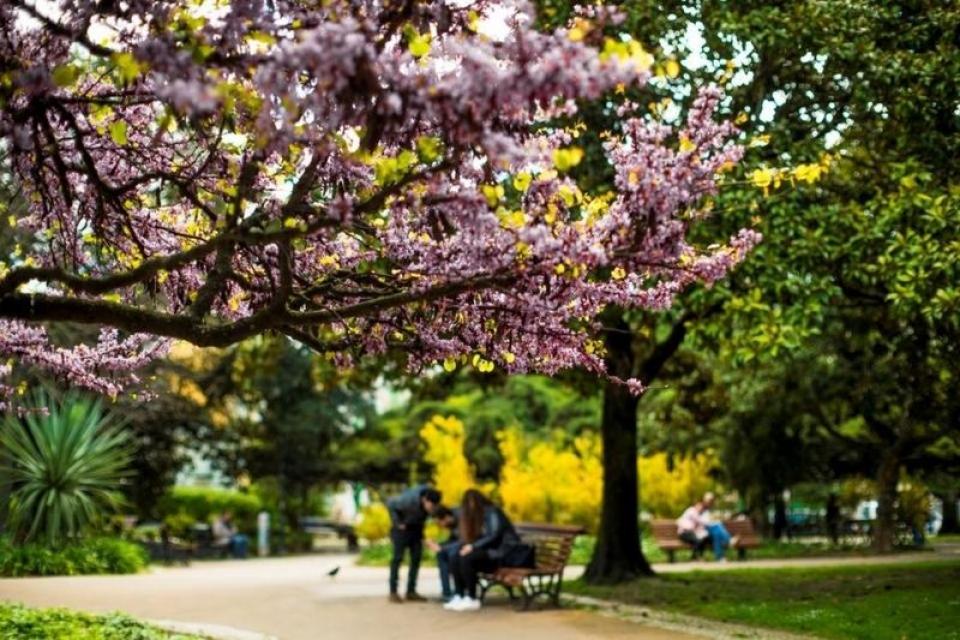 principe-real-capa-2-960x640_c_resultado