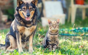 Lisboa: 10 sugestões para sair neste fim de semana