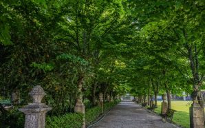 Soy Loco por Ti, America Palácio Pimenta Lisboa