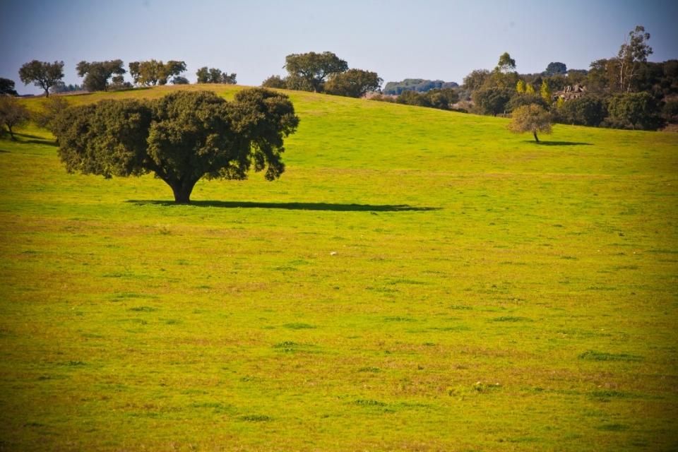 19213529_BINARY_GI30102014REINALDORODRIGUES0840