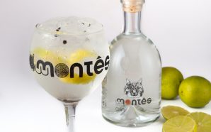 gin Montês botânico gin de montanha