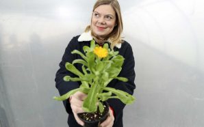 Caminhos da Água concelhos Médio Tejo espetáculos