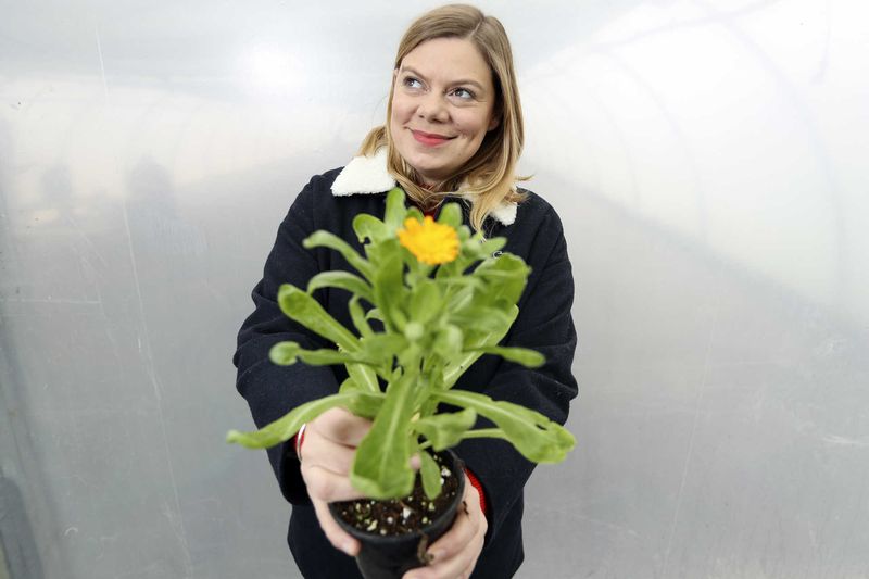 Caminhos da Água concelhos Médio Tejo espetáculos