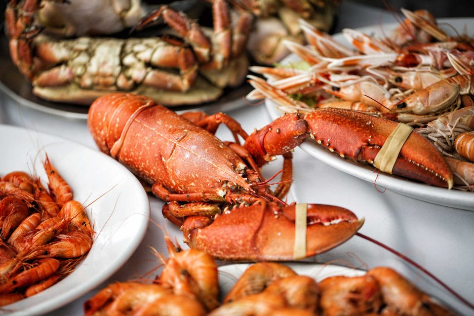 Festival Sem Espinhas volta para celebrar o peixe e marisco de Espinho