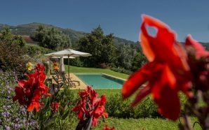 Quinta do Ameal Ponte de Lima turismo rural vinhas bosques