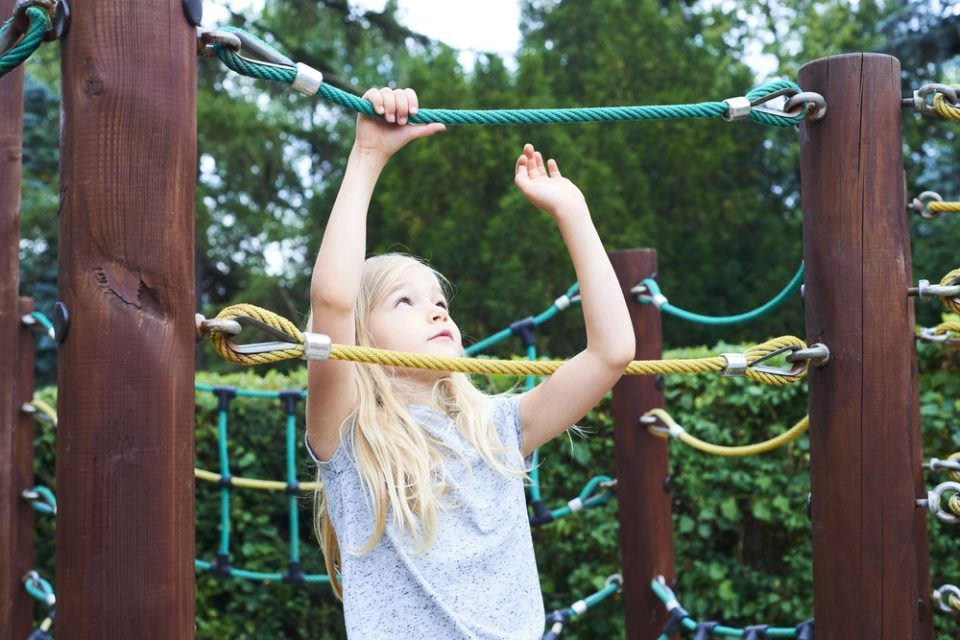 Cinema ao ar livre, arvorismo e teatro para entreter os miúdos