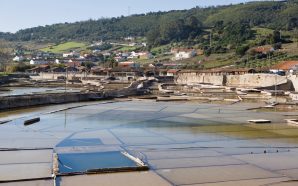 Sal sem mar à vista na zona de Rio Maior