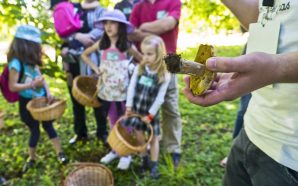 crianças, agenda, atividades, Serralves, exposições, cinema, Lisboa, Porto