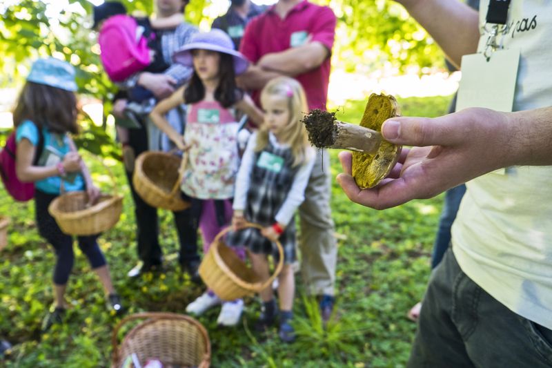 crianças, agenda, atividades, Serralves, exposições, cinema, Lisboa, Porto