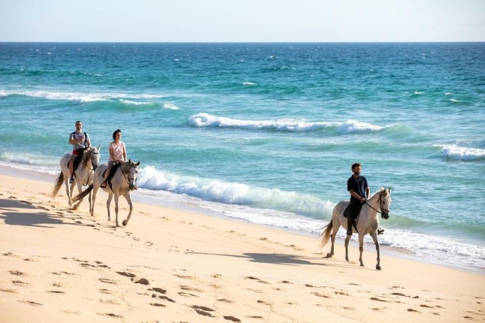 Cavalos na praia da Aberta Nova