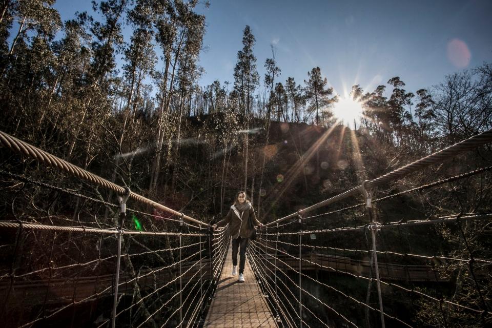 23910142_BINARY_GI20022016ANDREGOUVEIA00023