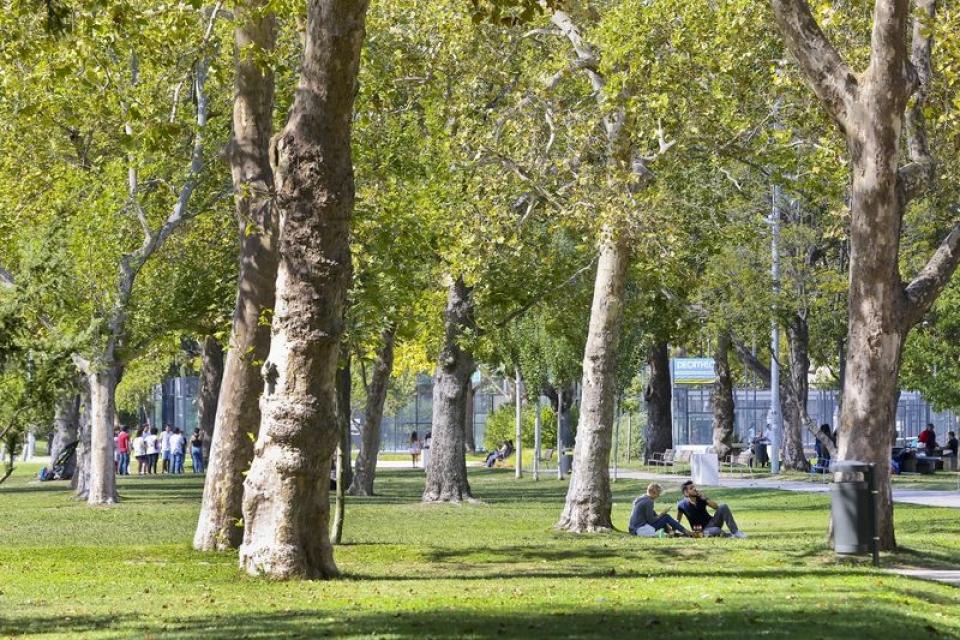 Jardim do Campo Pequeno