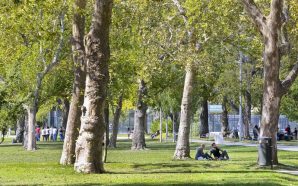 Lisboa na Rua 2017 jardins e parques setembro