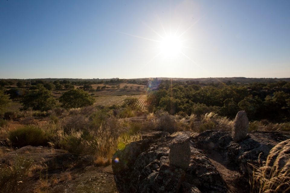 Pelos trilhos diversificados da serra de São Mamede