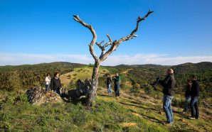 Corrida contra o calor na Serra do Caldeirão