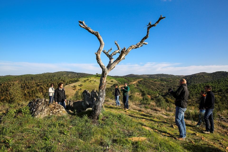 Corrida contra o calor na Serra do Caldeirão