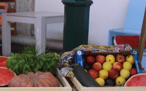 Caldas da Rinha frutos 2017 hortofrutícolas