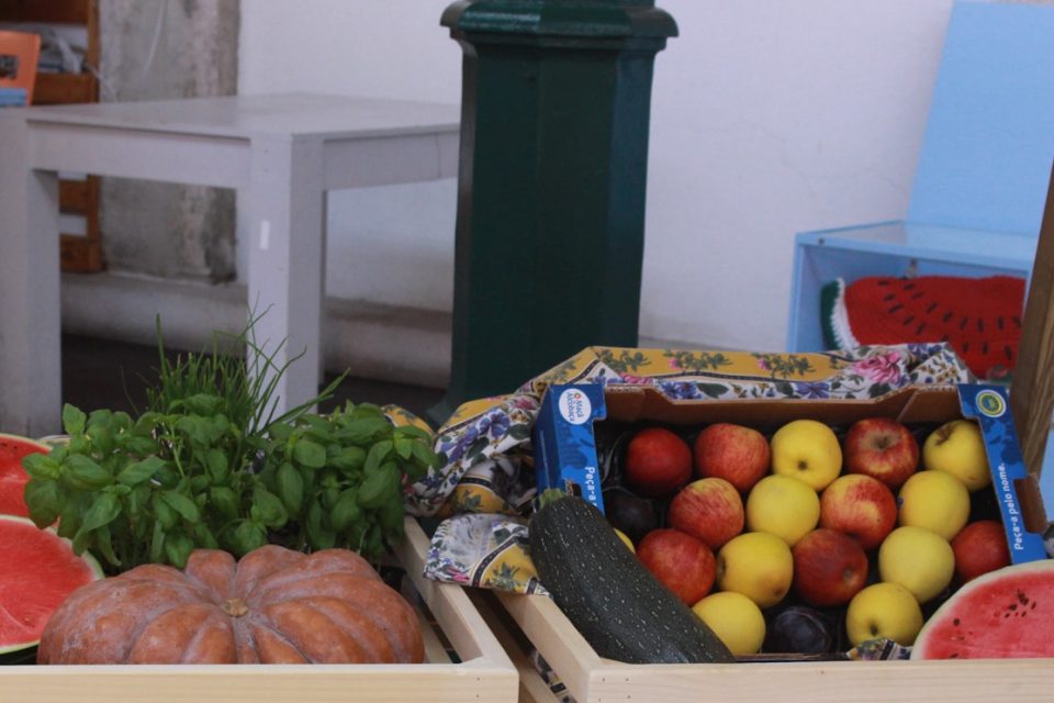 Caldas da Rinha frutos 2017 hortofrutícolas