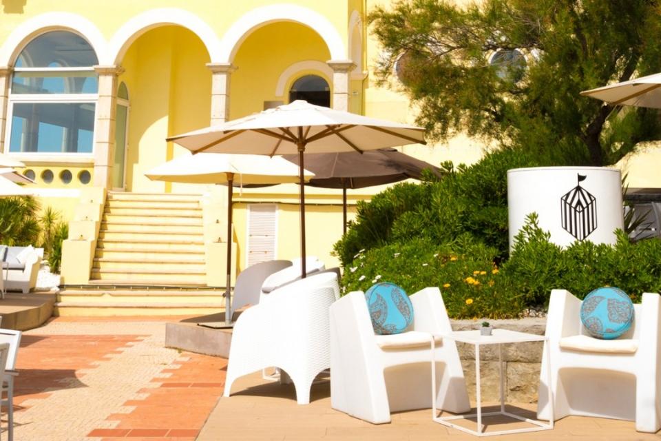 imageedit_5_8391142971