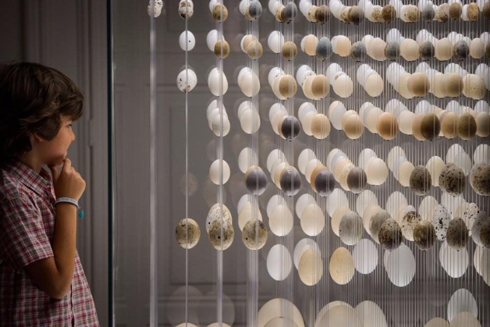 29027518_BINARY_GI11092017PEDROGRANADEIRO_000033