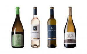 Quinta do Quetzal vinhos crítica verão partilha família