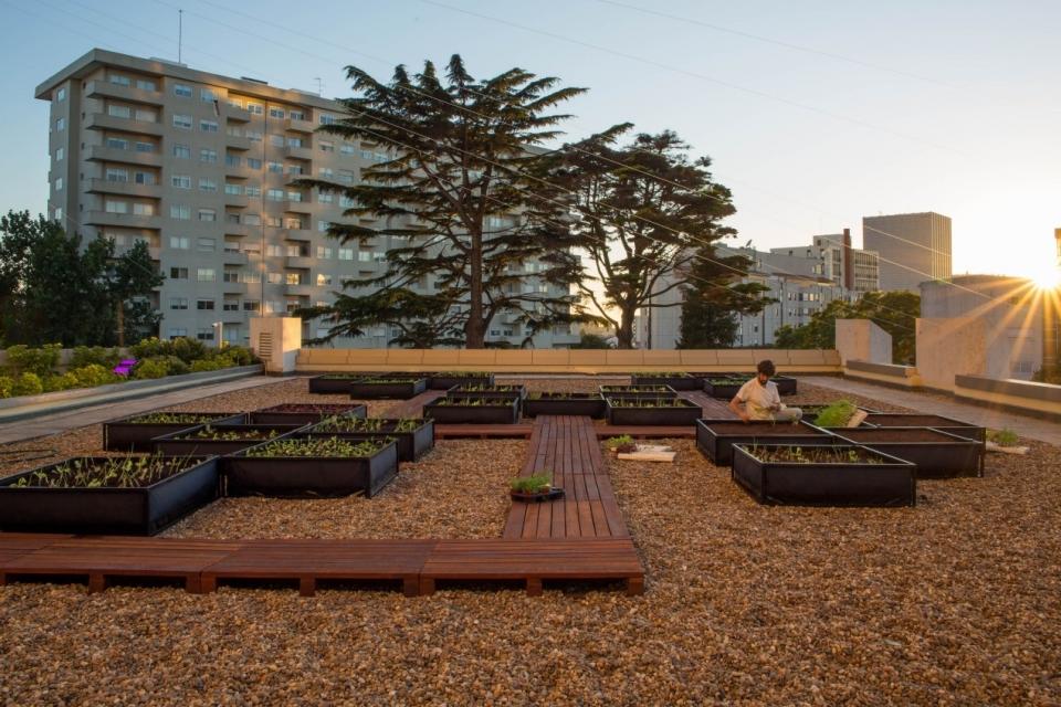 Horta Urbana_Crowne Plaza Porto (2)